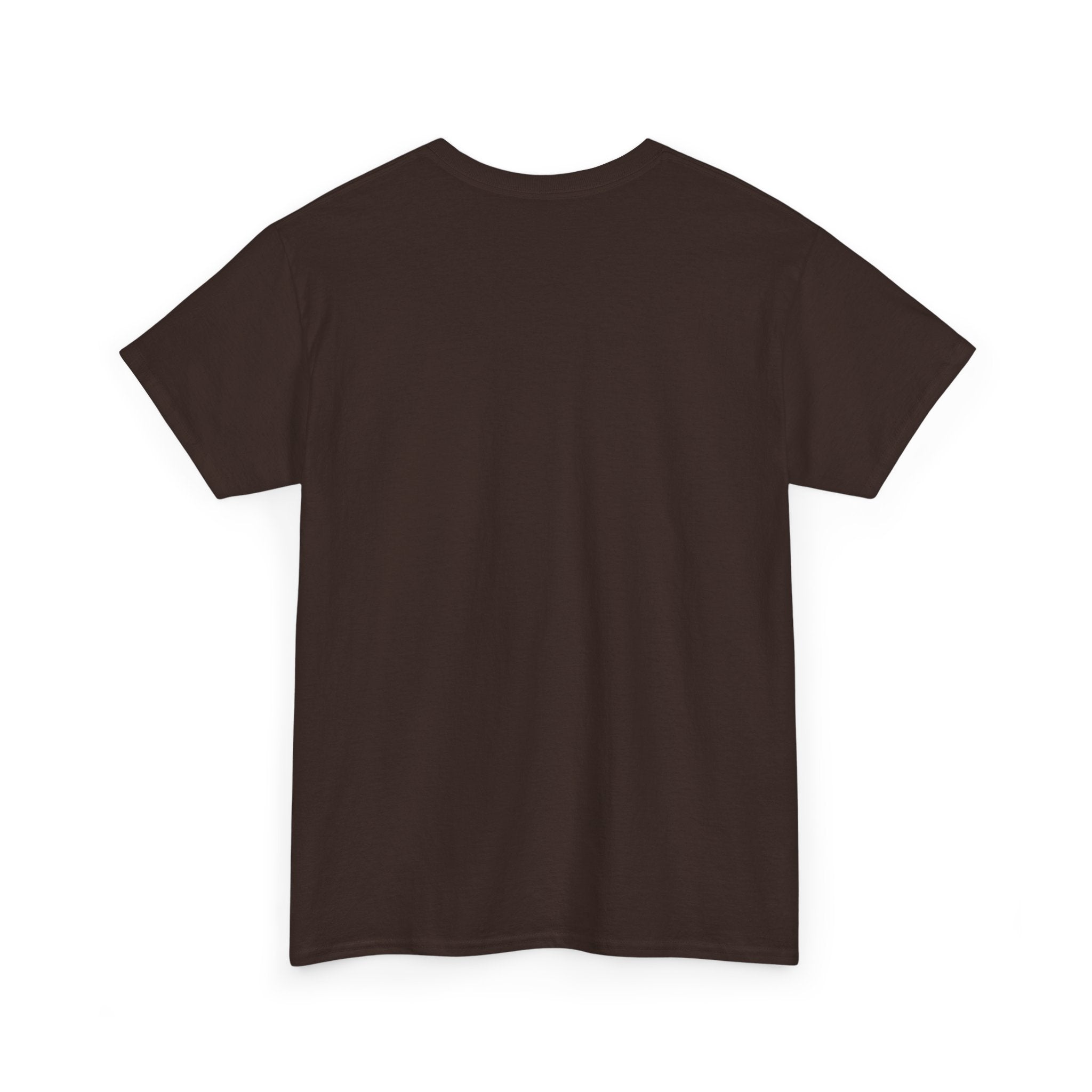 T-Shirt — "She Overcame Everything That Was Meant to Destroy Her" Inspirational Graphic Tee