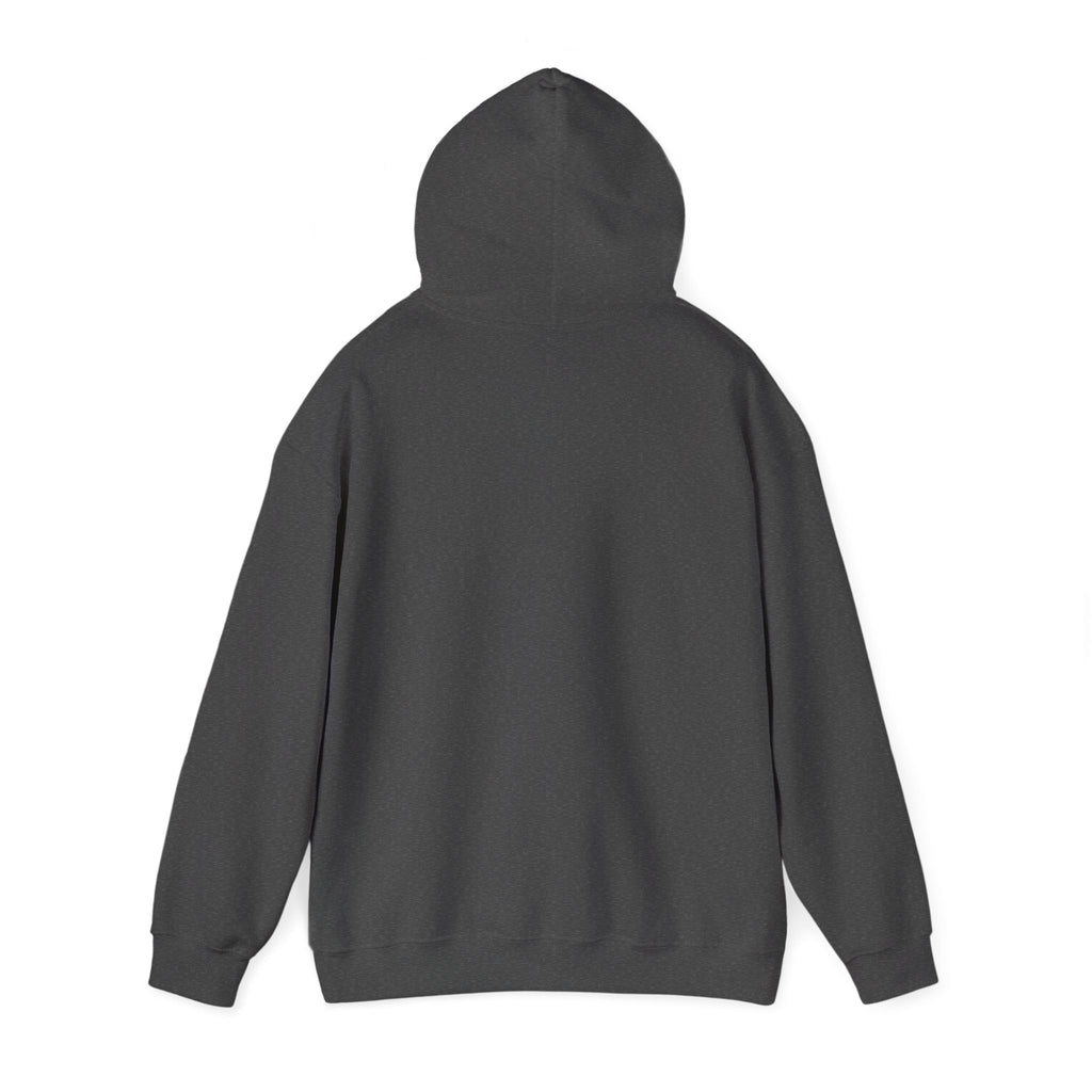 Sassy Girl Isn’t Basic Hoodie – Cute Afro Girl Graphic Sweatshirt