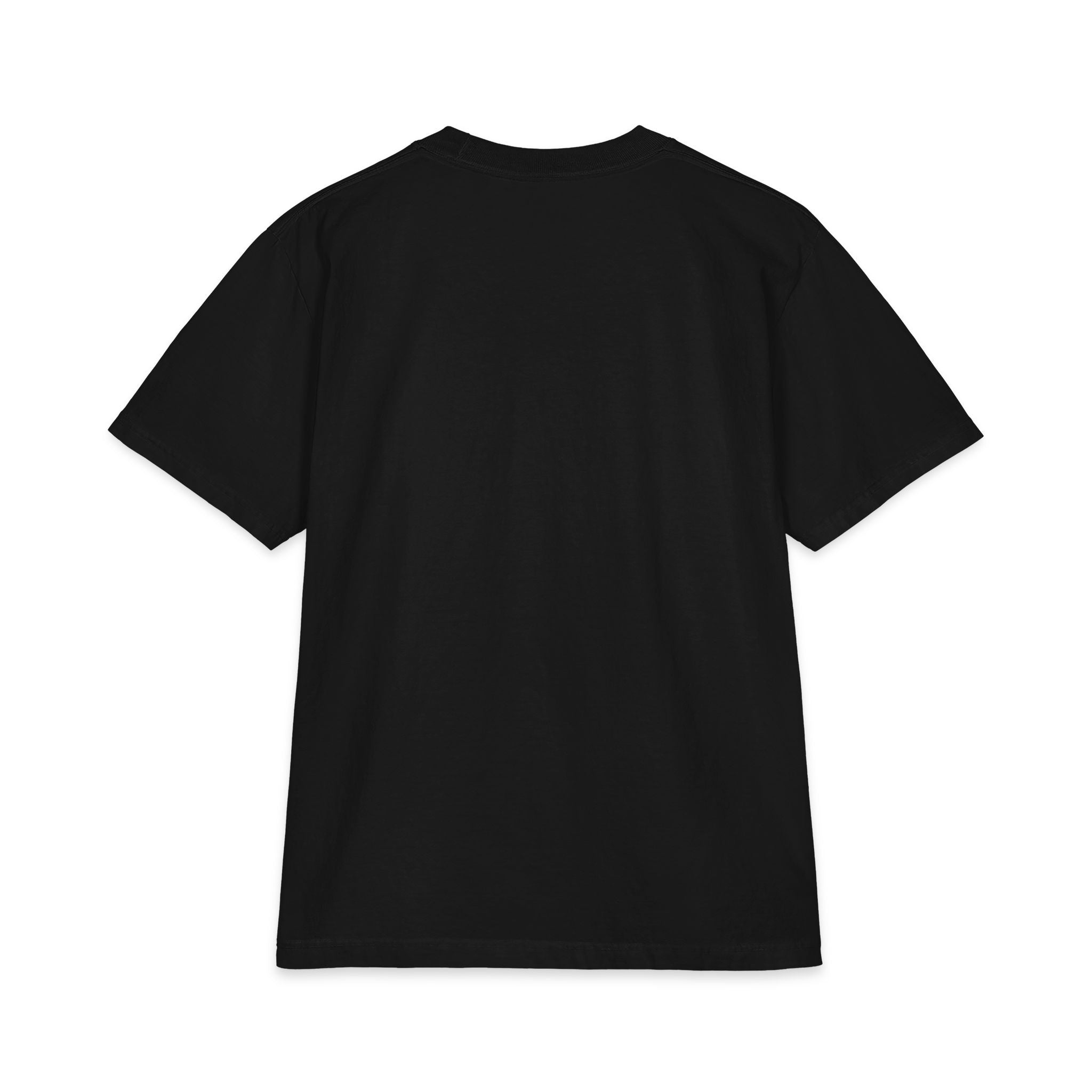 Currently Unsupervised – Proceed With Caution T-Shirt