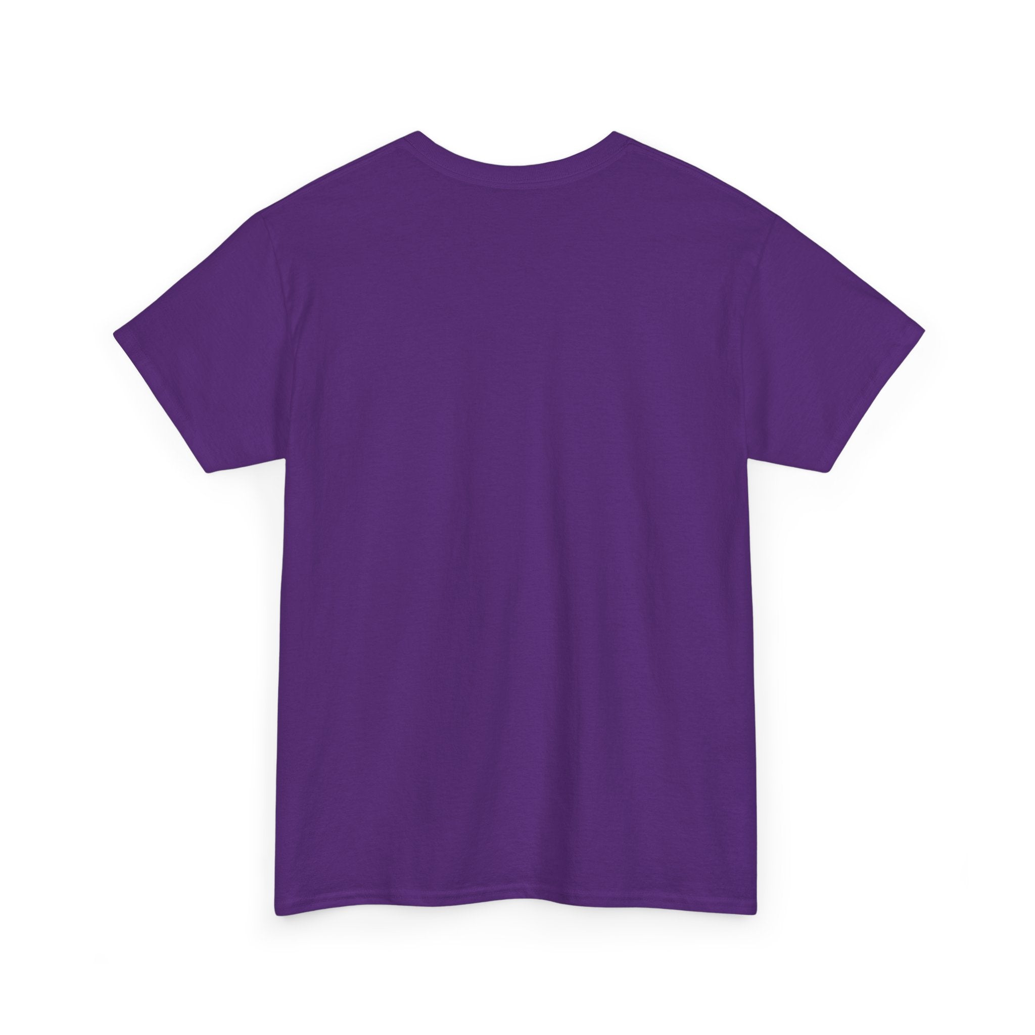 T-Shirt — "She Overcame Everything That Was Meant to Destroy Her" Inspirational Graphic Tee