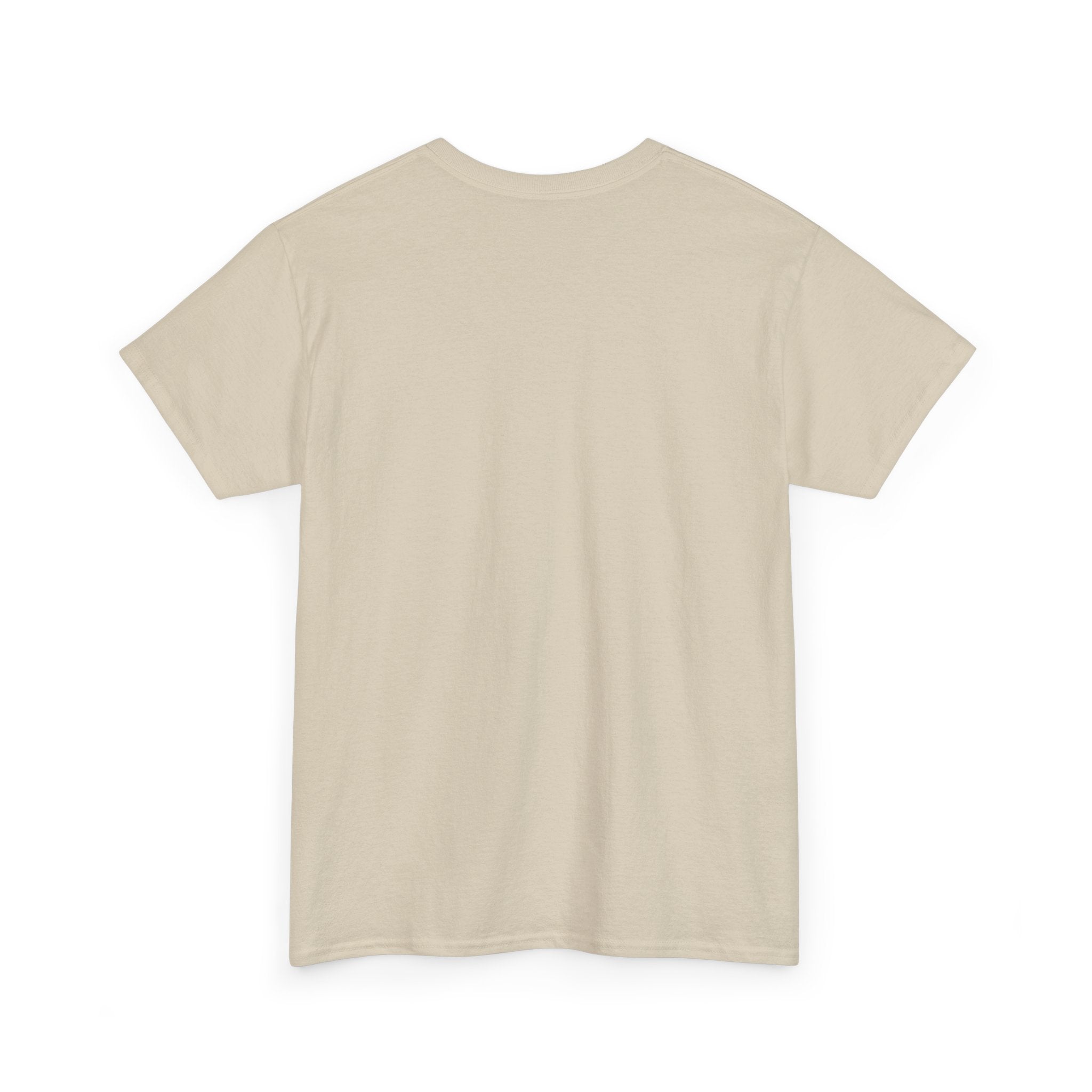 T-Shirt — "She Overcame Everything That Was Meant to Destroy Her" Inspirational Graphic Tee