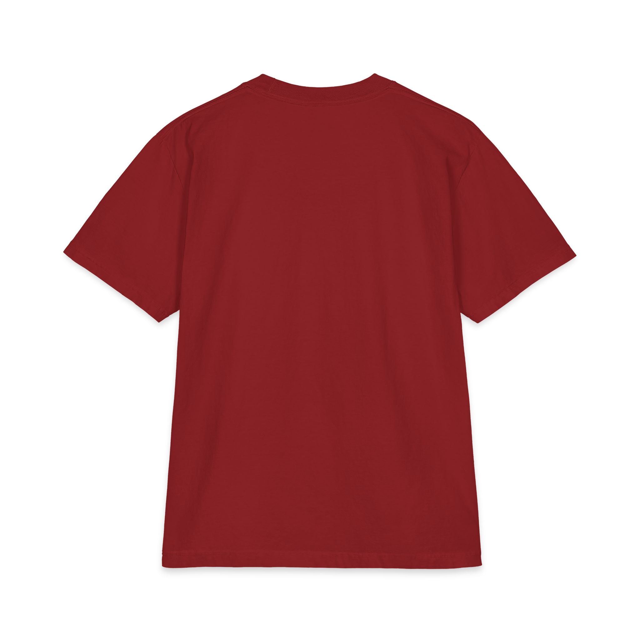 Undiagnosed! Warning – Proceed At Your Own Risk T-Shirt