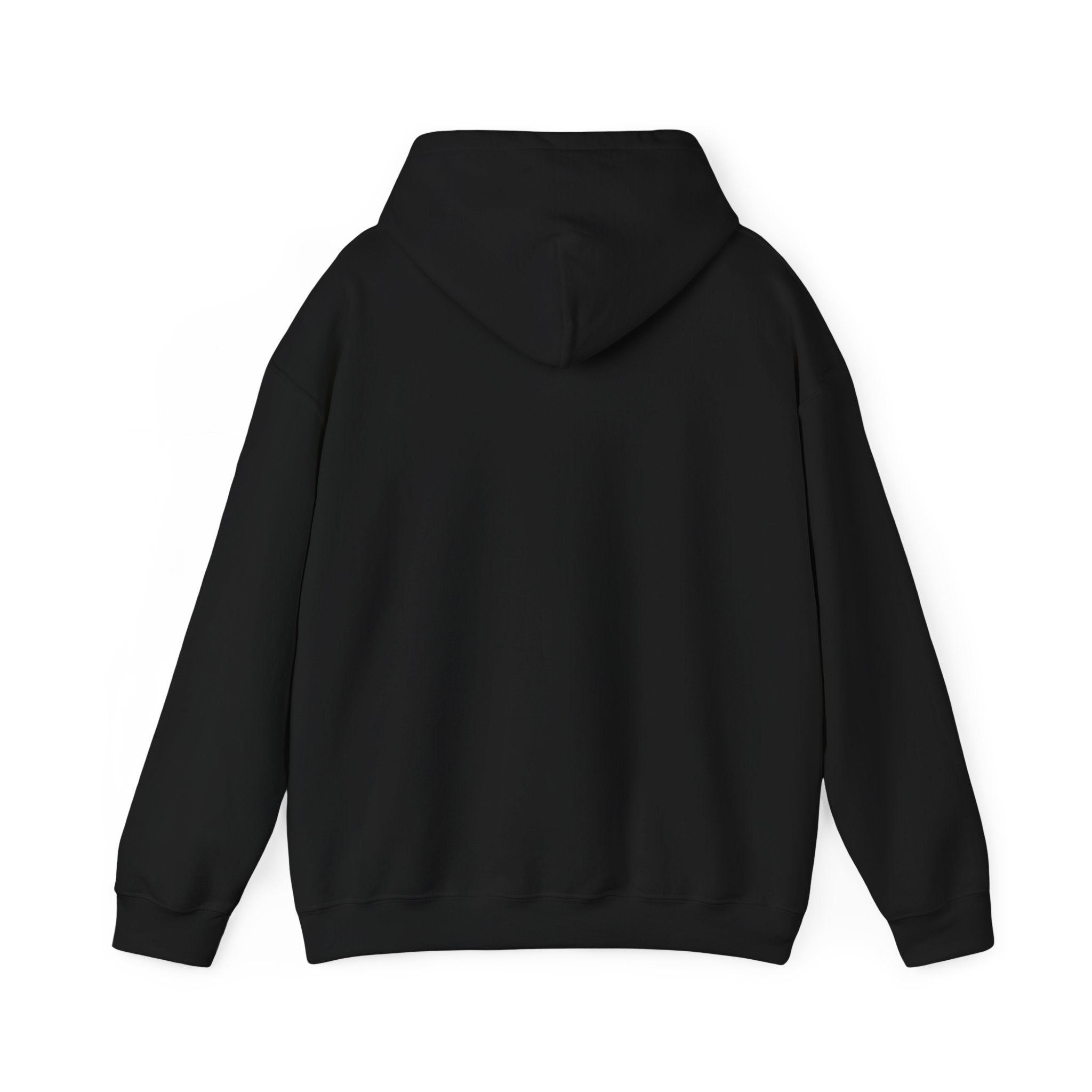 Sassy Girl Isn’t Basic Hoodie – Cute Afro Girl Graphic Sweatshirt